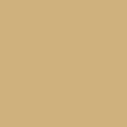 Buntlack RAL 1001 Beige - Holzlack Holzfarbe Metallfarbe Lausitzer Farbwerke