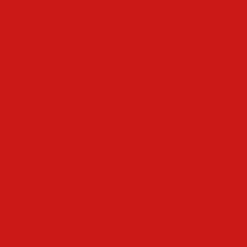 Fliesenlack RAL 3000 Feuerrot - Fliesenfarbe Lausitzer Farbwerke - Lausitzer Farbwerke