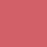 Betonfarbe RAL 3017 Rosé - Fassadenfarbe außen frostsicher Lausitzer Farbwerke - Lausitzer Farbwerke